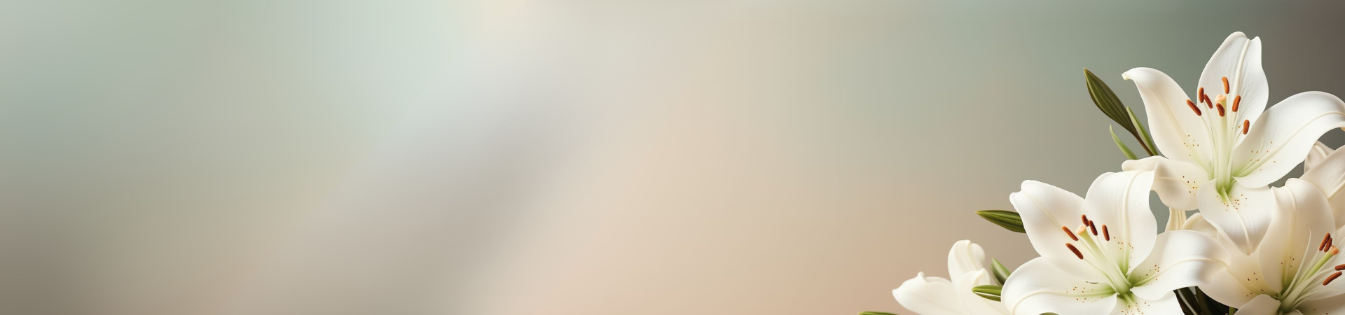 Best Selling Cremation Urns for Ashes