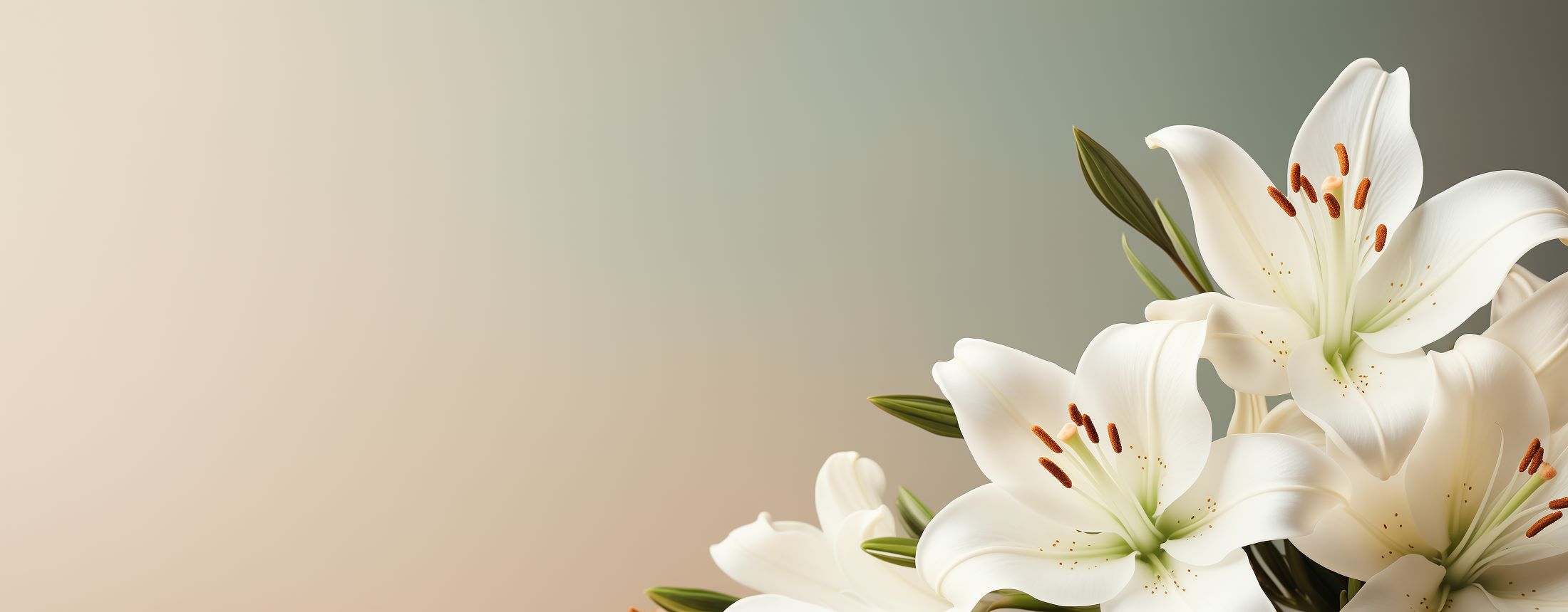 Urns to Remember Her