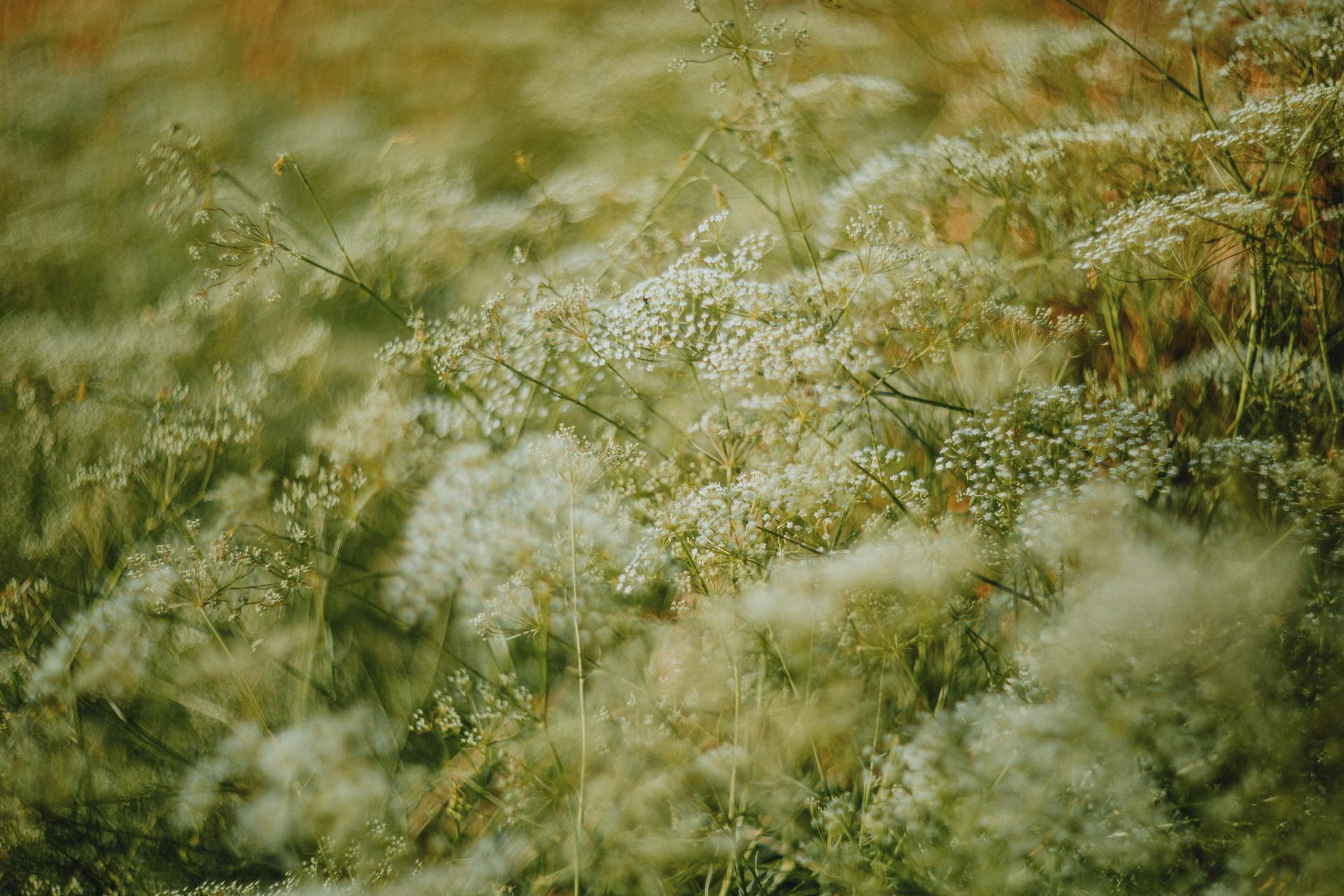 Keepsakes - Mini Cremation Urns