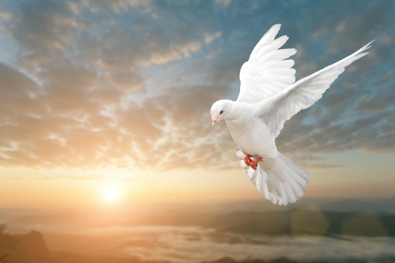 What is the significance of different birds on urns?